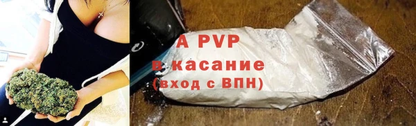 прущие грибы Абдулино