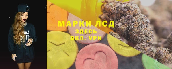 прущие грибы Абдулино