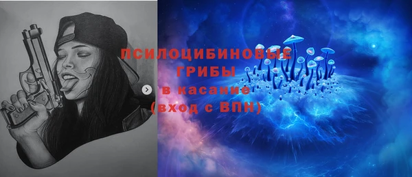 прущие грибы Абдулино