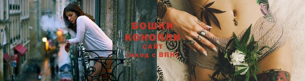 индика Покачи