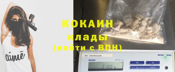 прущие грибы Абдулино