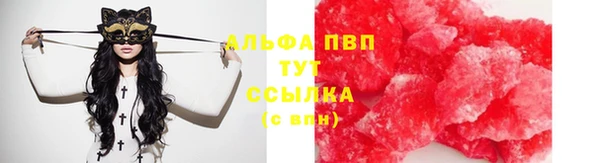 прущие грибы Абдулино