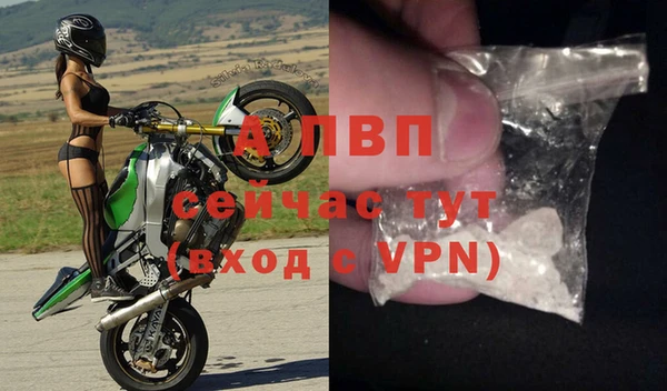 ГАЛЛЮЦИНОГЕННЫЕ ГРИБЫ Покров