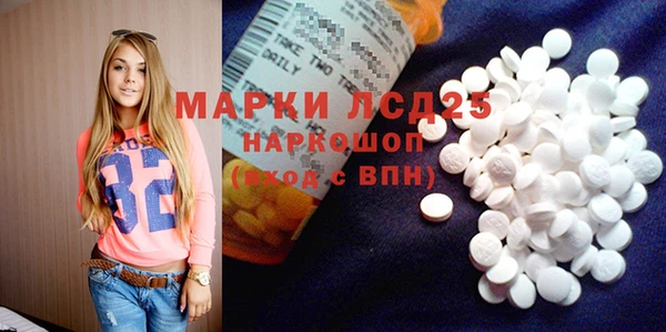 спайс Гвардейск