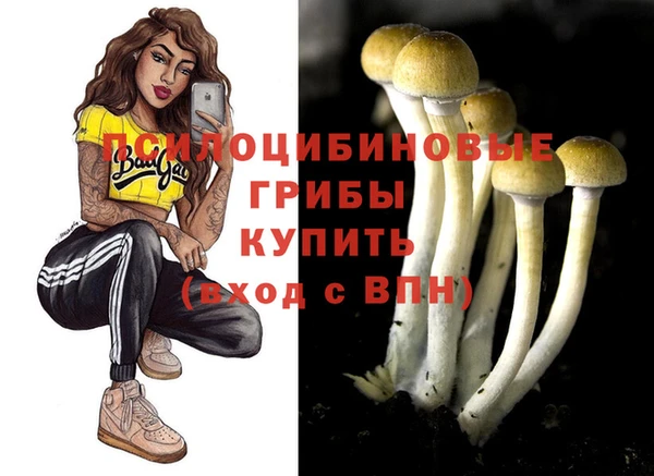 прущие грибы Абдулино