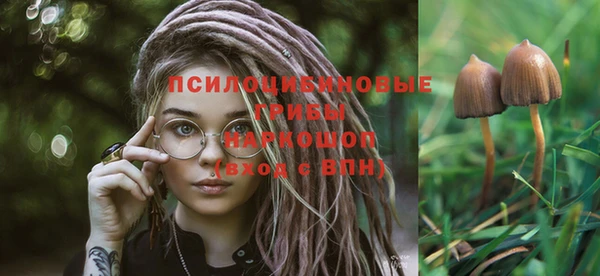 прущие грибы Абдулино