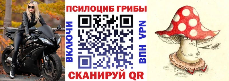 Псилоцибиновые грибы Psilocybine cubensis  Подпорожье 
